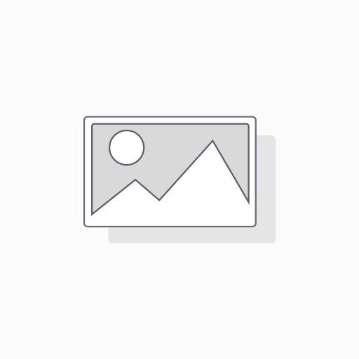 Arizona Fruit Punch Juice 500Ml